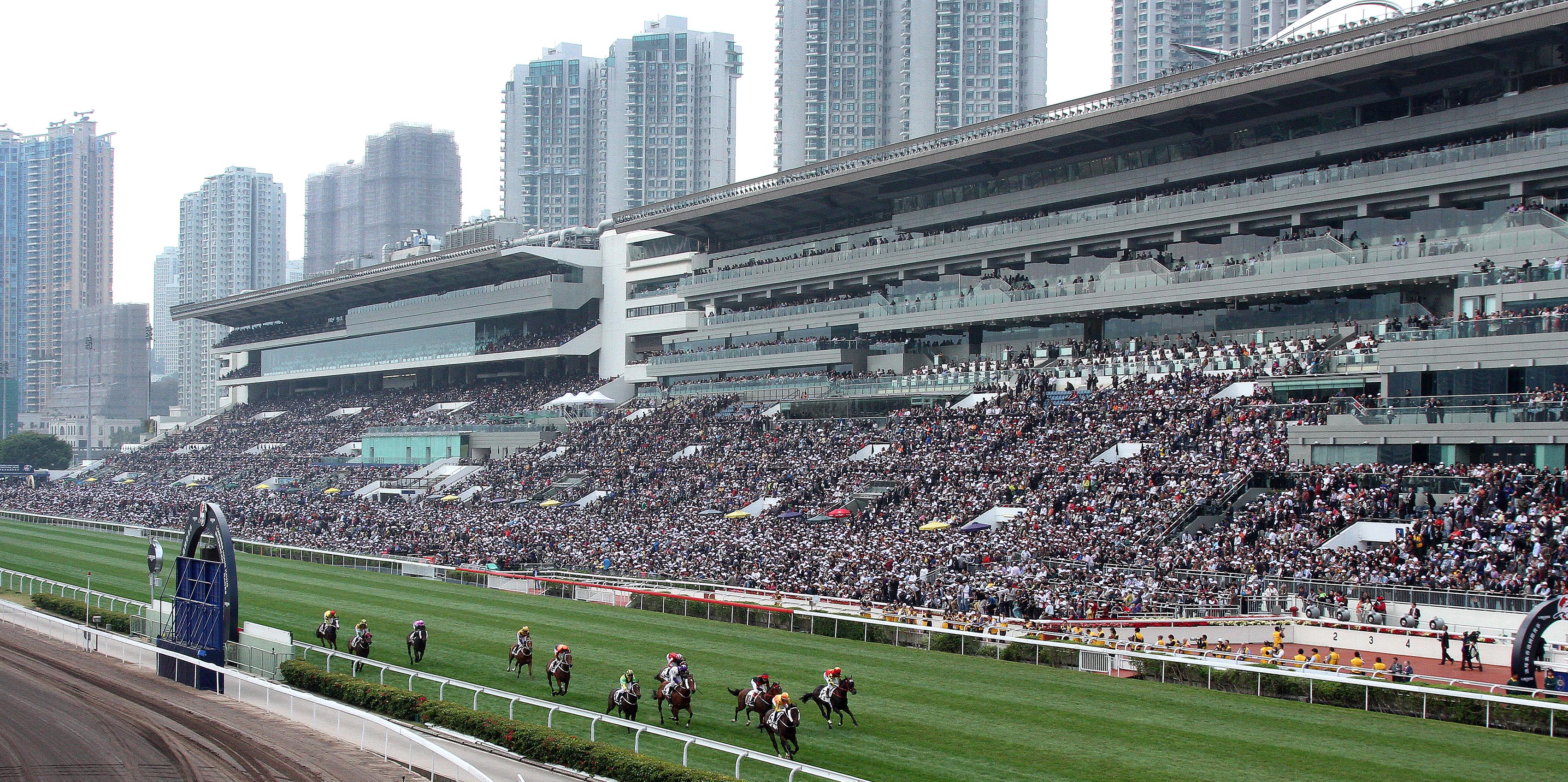 赛马运动在香港2015年8月专题