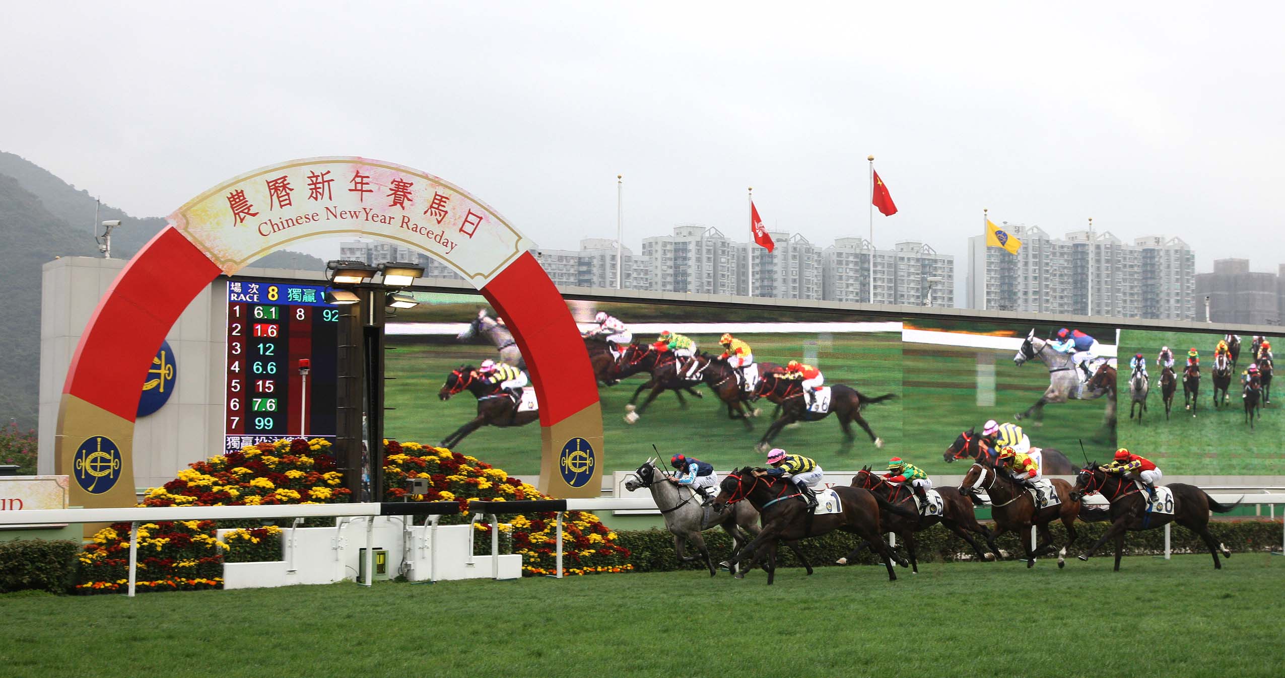 赛马运动在香港2015年5月专题