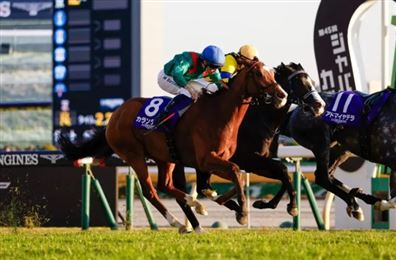 “格伦岛”打破20年外队魔咒，强势问鼎日本杯！