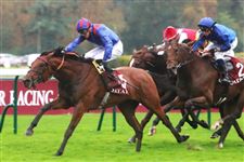 “誉满杜拜”退出香港国际赛事！