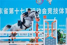 马匹福利至上！省运会马术比赛交出暖心答卷