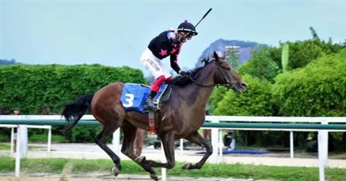 戴图理完美谢幕，退役战成就历史性双冠！