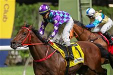 星展与宏利百万挑战杯“至尊瑰宝”力争再创佳绩 顺利夺冠