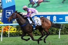 “小鸟天堂”夺冠经典一哩赛，迈出四岁马腾飞关键一步