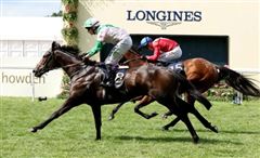 将与“嘉应高升”同场较量，“乐于助人”能否以九岁高龄创造历史？