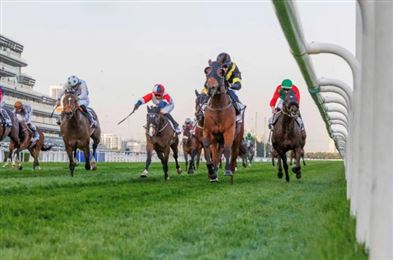 迪拜马会2025-2026赛季将于明日在迪拜迈丹马场开赛！