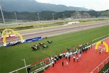 重磅！从化常规赛日程敲定，首场比赛将于2026年10月31日开跑