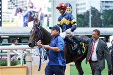 莫雷拉未申请香港下赛季骑师牌照！