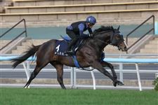 “神志勇进”将在中国香港迎来告别战！