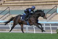 “神志勇进”将在中国香港迎来告别战!