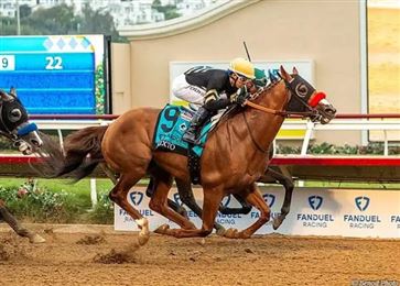 曾打败“青春永驻”，