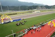 重磅！马会短途锦标或在从化举办