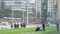 惊险！“香港杯”比赛中有观众手举横幅，冲入跑道...