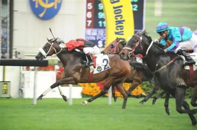 新加坡传奇名驹“火箭人”离世，享年20岁！