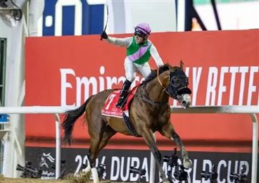 “月桂河”转战种公马！曾以 8 个半马位大胜 2024 年迪拜世界杯