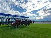 香港马会从化马场诚聘策骑员/赛事见习学员等职位，欢迎应聘！