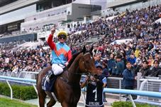 潘顿香港国际赛日收入358万！