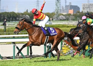 “宝来歌剧”闪电退役做种马！