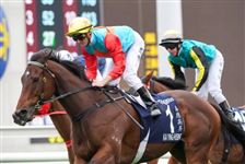 “‘嘉应高升’以1-20的赔率获胜，真的有意思吗？”