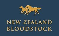 新西兰纯血马公司