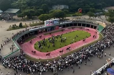 14场比赛紧急叫停，500匹赛马接受违禁药物检测！