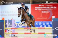 梁锐基夺1.30M级别冠军，广东省马术联赛第二站（深圳威廉）完赛！