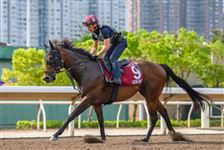 莫雷拉：只要“嘉应高升”失准，“里见梦境”就有机会夺冠