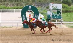CHC、玉龙、华宇、跃龙马业捧杯，玉龙常规赛第三个赛日完赛！