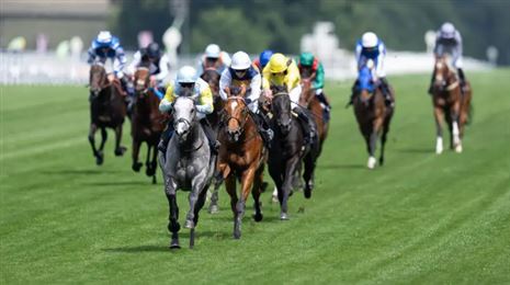 “赛马赢了一场战争，却仍深陷战区！”