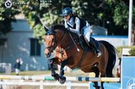 全年举办22站赛事！广东马协2026年赛事计划出炉