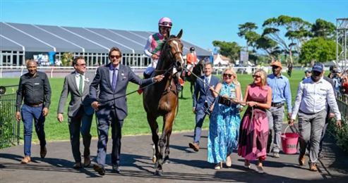 练马师史奈斯派出三员大将围攻最强对手，力争再夺大都会锦标赛！