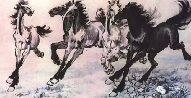 2015年05月08日 - 武马画马 - 武马画马