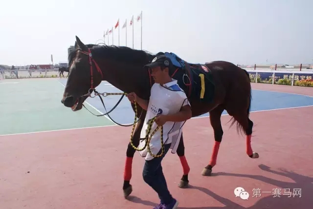 640.webp (36).jpg 640.webp (36).jpg