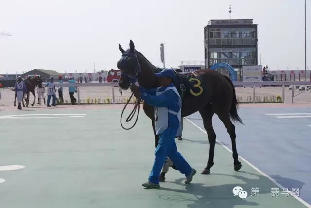 640.webp (38).jpg 640.webp (38).jpg