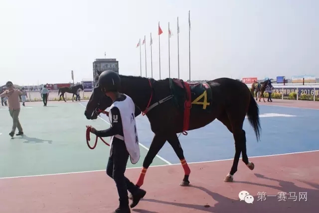 640.webp (39).jpg 640.webp (39).jpg