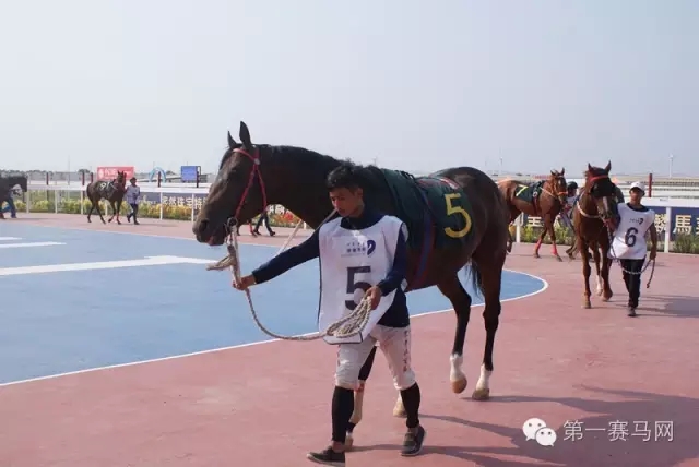 640.webp (40).jpg 640.webp (40).jpg