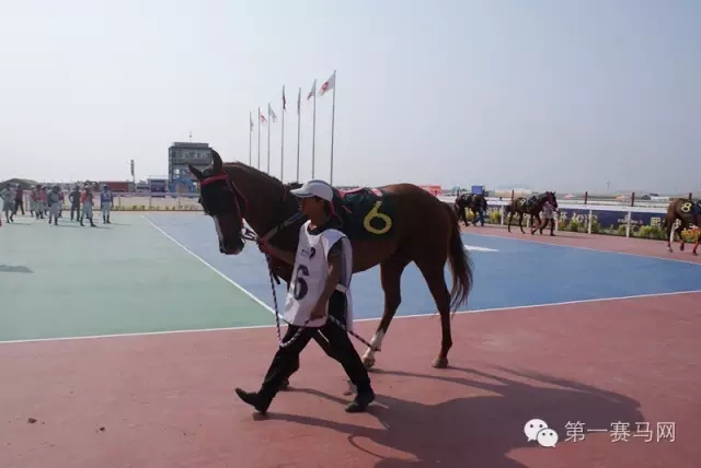 640.webp (41).jpg 640.webp (41).jpg