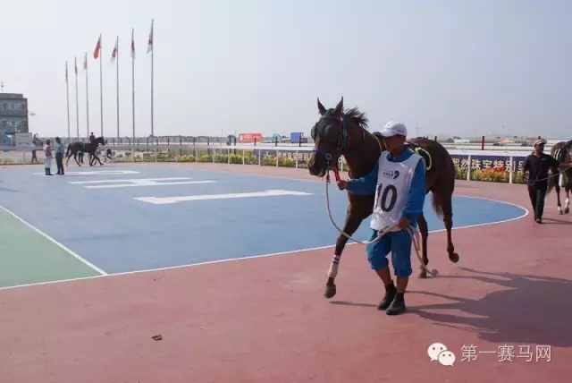 640.webp (44).jpg 640.webp (44).jpg