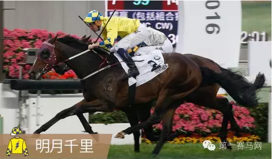 8823~ZN04(T6P3Q244C~2I0.png 8823~ZN04(T6P3Q244C~2I0.png