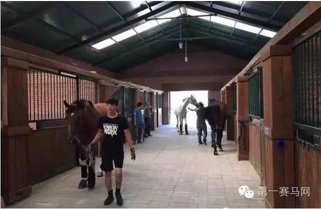 (DS[(F5YX`AW1OGWG8IYST4.png (DS[(F5YX`AW1OGWG8IYST4.png