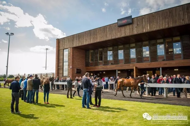 640.webp (28).jpg 640.webp (28).jpg