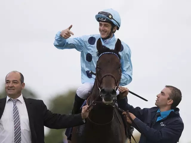 1.webp.jpg 1.webp.jpg