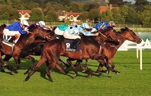 3.webp.jpg 3.webp.jpg