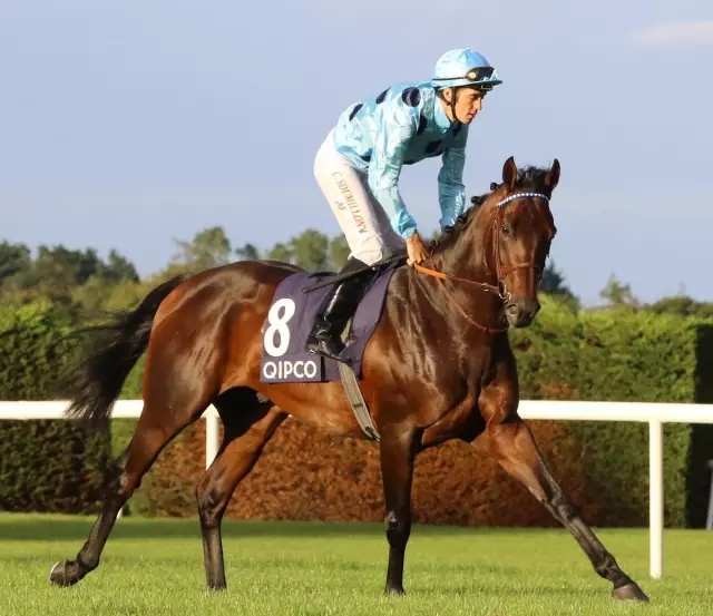 4.webp.jpg 4.webp.jpg