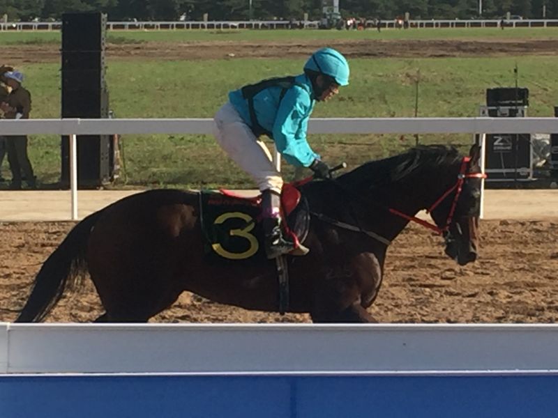 图四.jpg 图四.jpg