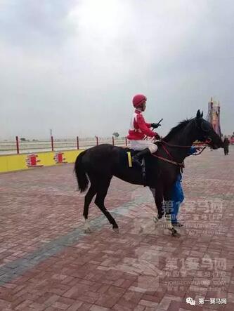 QQ截图20161217225358.jpg QQ截图20161217225358.jpg