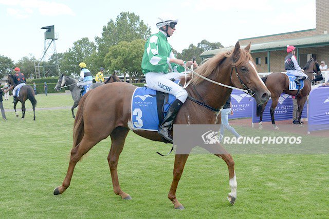 C1yLN8WUsAAVBS2.jpg C1yLN8WUsAAVBS2.jpg