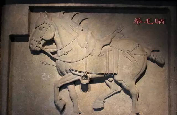 流失美国的“拳毛騧”.jpg