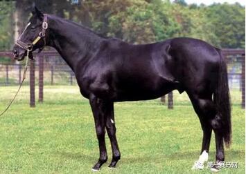 QQ截图20170321205236.jpg QQ截图20170321205236.jpg