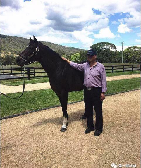 QQ截图20170328230638.jpg QQ截图20170328230638.jpg